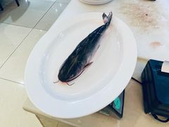 黑龙鱼-老刘生态大鱼坊铁锅炖鱼(赛马场店)