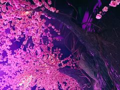 -韵秋荷(宝山龙湖天街店)