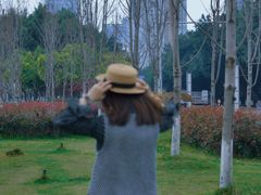 -大龙山(地铁站)