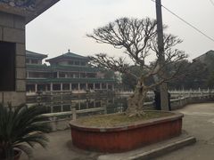 -荆州博物馆