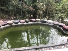 -花水湾第一村温泉大酒店