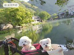 -鹿亭中村