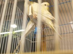 -时光花园(白鹭洲店)