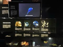 -同济大学四平路校区深海探索馆