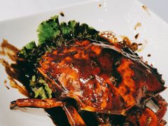 获奖黑胡椒螃蟹-螃蟹之家·新加坡特色料理(银泰中心in99店)