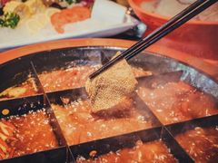 -矮板凳老火锅(宽窄巷子店)