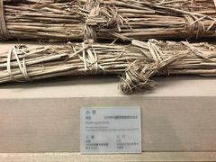 -敦煌市博物馆