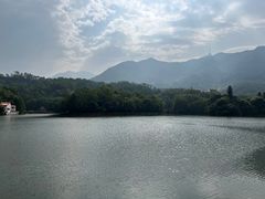 -深圳仙湖植物园