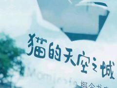 -猫的天空之城概念书店(丽江古城饮玉巷店)