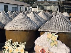 -苏州市吴中区光福窑上花果蜜饯厂