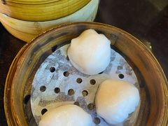 添运来虾饺皇-添运来(茶园奥园广场店)