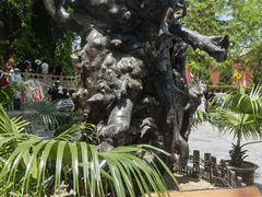 -大槐树寻根祭祖园