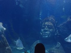 -暹罗海洋世界