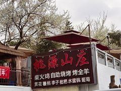 -桃源山庄·水蜜桃采摘·柴火鸡·烧烤团建(龙泉山店)