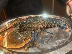-皇朝会.经典传统粤菜(外滩店)