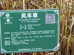 -广西壮族自治区药用植物园