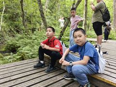 -五营红松林海景区