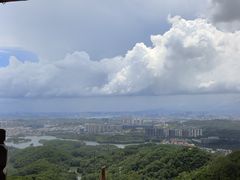 -大屏嶂森林公园