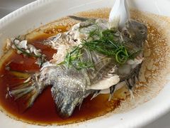 -八仔大富楼·河鲜(西江店)