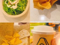 -油梨树 AVOCADO TREE(亮马桥店)