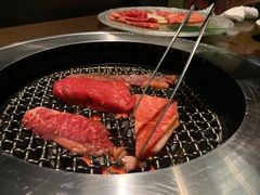 -台场海滨公园船码头