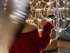 -圣丰索菲特·法国餐厅