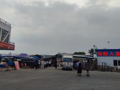 -霞涌市场海鲜摆卖区