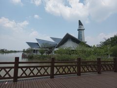 -盐城丹顶鹤湿地生态旅游区