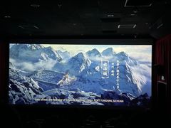 -新影联·华谊兄弟影院(望京店)