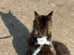 -联合动物医院(光谷诊疗中心)