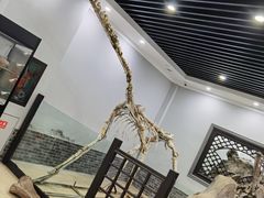 -游龙石文化科普馆