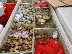 -海峡水产品交易中心(海鲜交易区)