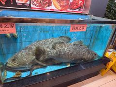 -四海之家(蛇口店)