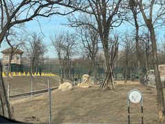 -秦皇岛野生动物园