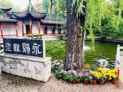 -碑林公园