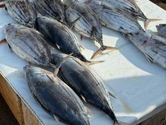 -尼甘布海鲜市场