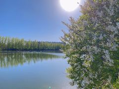 -森林公园(尖草坪区)