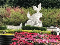 -金鸡山公园
