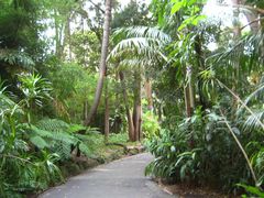 -墨尔本皇家植物园