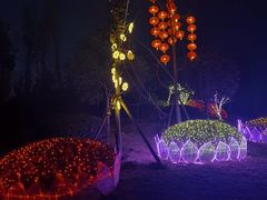 -枫香湖儿童公园