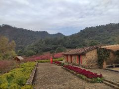 -广州市石门国家森林公园