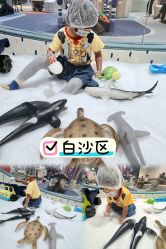 点击看大图 -奈尔宝家庭中心·亲子餐厅(北京东坝万达店)