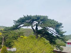 -妙峰山风景名胜区