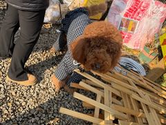 -HERRE·FARM 赫尔露营农场·团建聚会包场