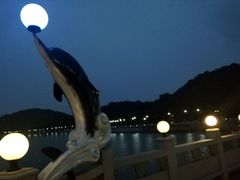 -野狸岛