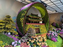 -杭州植物园