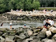 -宝安西湾红树林湿地公园