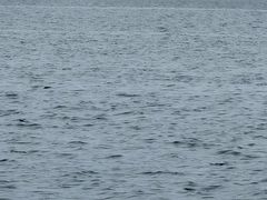 -悦海公园