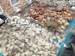 -盒马鲜生(曜一城店)