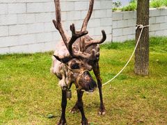 -洛阳白云山景区